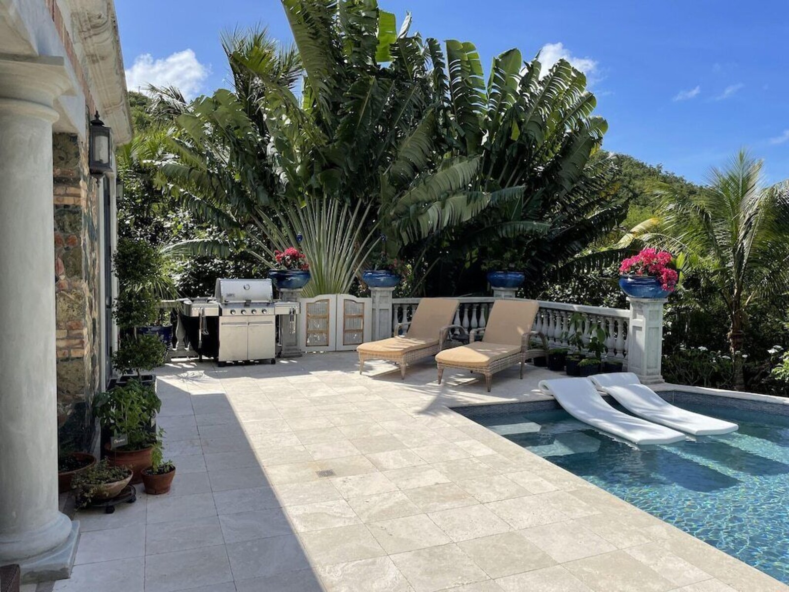 Mystical Mermaid outdoor pool veranda and gardens