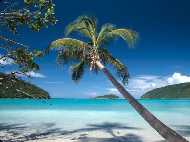 Virgin Islands National Park hiking trails